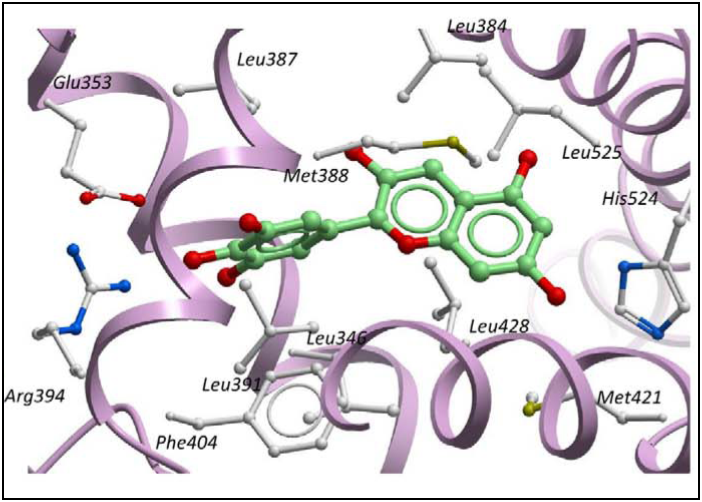 Polyphenols interaction